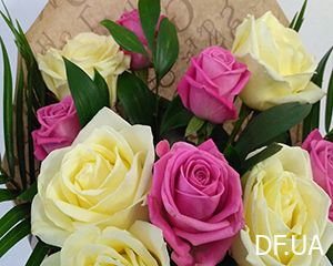 Bouquet of 11 roses