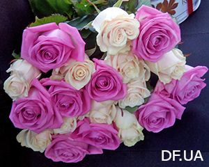 Bouquets of 19 roses Bouquets 19 roses photo