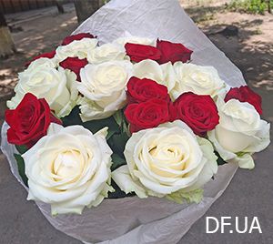 Bouquets 21 roses photo
