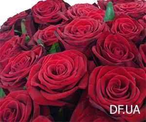 Bouquets 23 roses photo