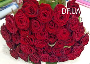 Bouquet of 27 roses
