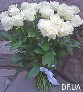 Bouquet of roses 27 pcs