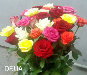 Bouquet of 33 roses