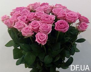 Bouquet of 35 roses