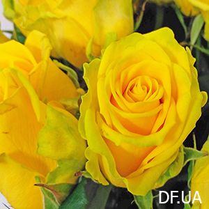 Bouquets 41 roses