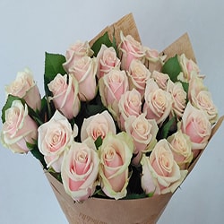 Кремовые розы купить