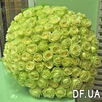 Large bouquet of beautiful roses - Photo 1