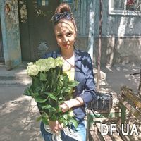 11 white roses - Photo 1