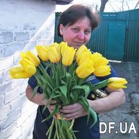 25 tulips - Photo 1