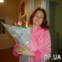 31 tulip - Photo 1