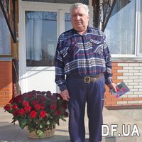75 роз в корзине на юбилей - Фото 1