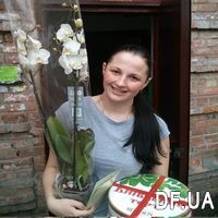 White orchid Phalaenopsis on 2 branches - Photo 4