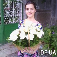 White roses in a basket for a wedding - Photo 1