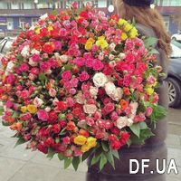 Bouquet of 101 shrub roses - Photo 1
