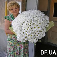 Bouquet of 101 chrysanthemums - Photo 1