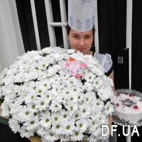 Bouquet of beautiful daisies - Photo 1