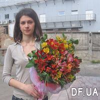 Alstroemeria flowers in bouquet - Photo 1