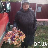 Basket of 25 Alstroemeria - Photo 1