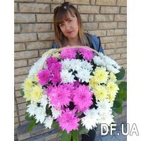 Basket of multi-colored chrysanthemums - Photo 2
