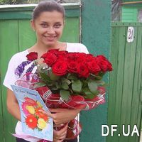 Red roses in a grid - Photo 1