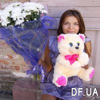 Buy camomiles with delivery - Photo 1