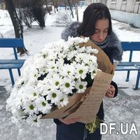 Chamomile in a bouquet - Photo 1