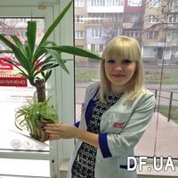 Yucca - Photo 1