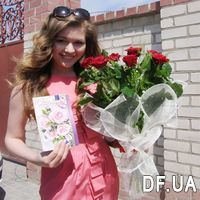 Bouquet of red roses in white packaging