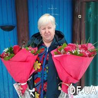 Bouquets of 7 pink imported roses