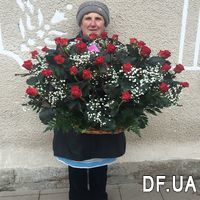 Basket of 51 red roses with gypsophila