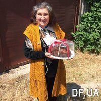 Chocolate cake - Photo 1