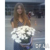 Красивые ромашки - Фото 3