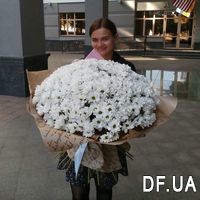 Букет красивих ромашок - Фото 2