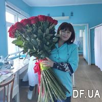 101 червона імпортна метрова троянда - Фото 2