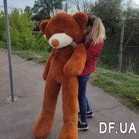Великий Ведмедик 2 метри - Фото 2
