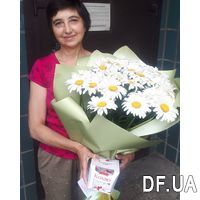 Large bouquet of camomiles - Photo 2