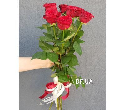 Simple bouquet of 7 roses 6