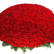 1001 red rose - chic bouquet for a chic woman