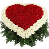 501 rose bouquet to buy