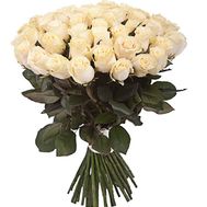 51 cream-colored roses
