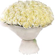 75 white roses