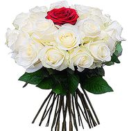24 white roses and 1 red