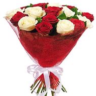15 red and white roses
