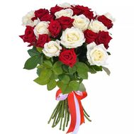 25 white and red roses