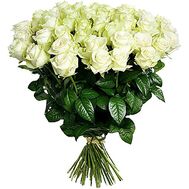 51 white rose