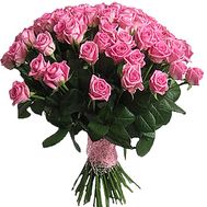 65 pink roses