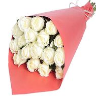 17 white roses