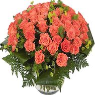 65 orange roses