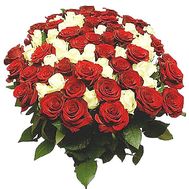 95 red and white roses