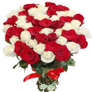 51 red and white rose